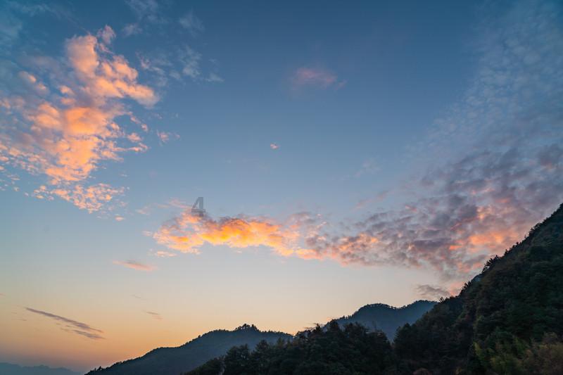 逃离仿真森林